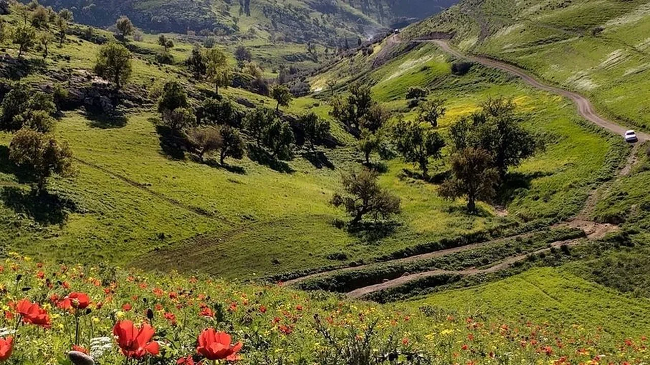 أجواء ربيعية دافئة في البلاد حتى الجمعة يعقبها انخفاض ملموس يوم السبت